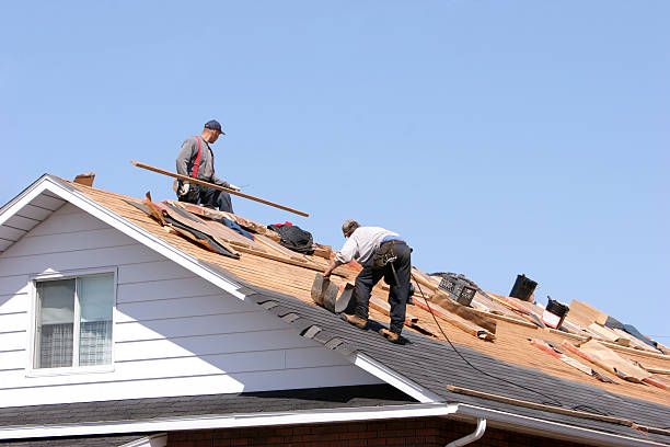Best Roof Moss and Algae Removal  in Fort Washington, PA